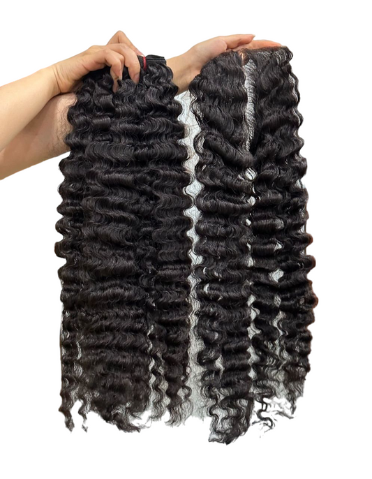 Burmese Curly